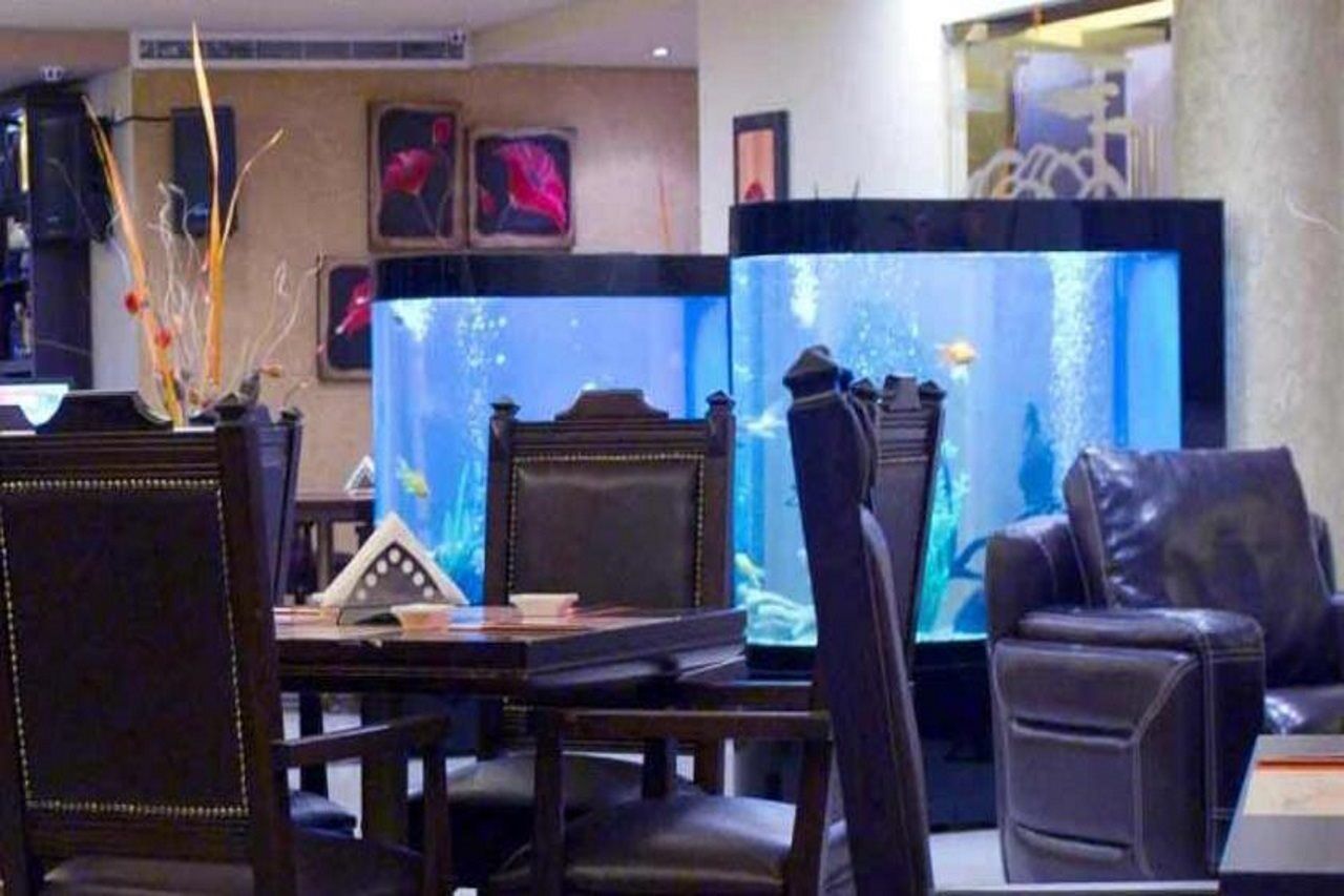 Hollywood Inn Boutique Hotel Dżunija Zewnętrze zdjęcie
